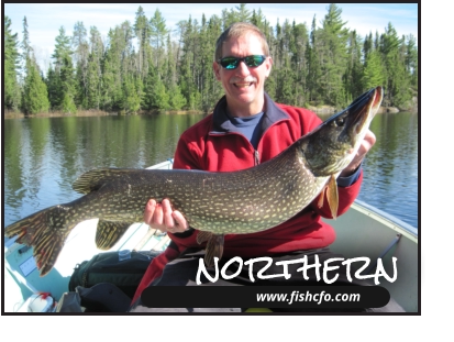 northern www.fishcfo.com