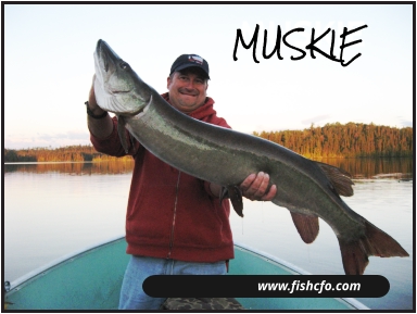 www.fishcfo.com MUSKIE MUSKIE