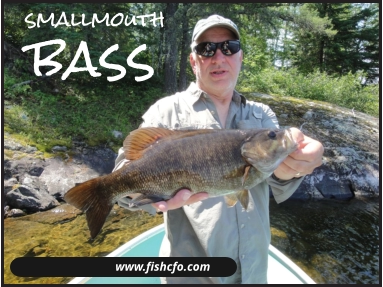 www.fishcfo.com bass smallmouth