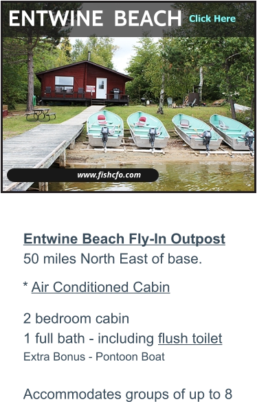 www.fishcfo.com ENTWINE  BEACH Entwine Beach Fly-In Outpost50 miles North East of base.   2 bedroom cabin1 full bath - including flush toiletExtra Bonus - Pontoon Boat Accommodates groups of up to 8 * Air Conditioned Cabin WALLEYE - NORTHERN PIKE - LAKE TROUT - SMALLMOUTH BASS  Click Here