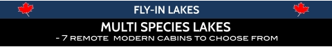 - 7 remote  modern cabins to choose from  MULTI SPECIES LAKES FLY-IN LAKES
