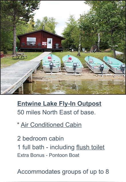 Entwine Lake Fly-In Outpost50 miles North East of base.   2 bedroom cabin1 full bath - including flush toiletExtra Bonus - Pontoon Boat Accommodates groups of up to 8 * Air Conditioned Cabin