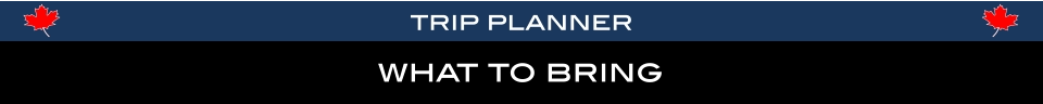 what to bring trip planner