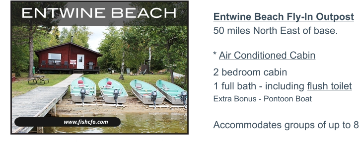 www.fishcfo.com ENTWINE BEACH Entwine Beach Fly-In Outpost50 miles North East of base.   2 bedroom cabin1 full bath - including flush toiletExtra Bonus - Pontoon Boat Accommodates groups of up to 8 * Air Conditioned Cabin WALLEYE - PIKE - LAKE TROUT - SMALLMOUTH BASS