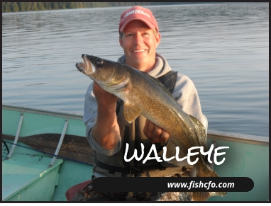 SERVICES www.fishcfo.com walleye www.fishcfo.com